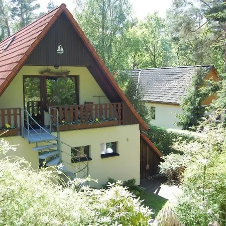 Hallier Daire